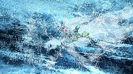 女子,水,花