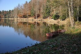 自然,秋,湖