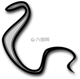 蛇,爬行動物,大蛇