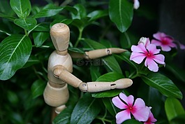 長(zhǎng)春,花卉,木制雕像