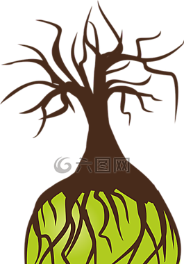 樹(shù),樺木,景觀