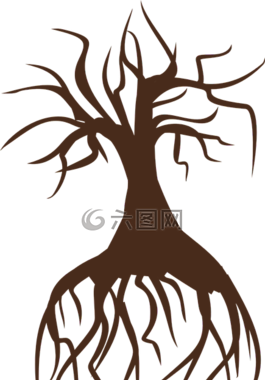 樹(shù),樺木,景觀