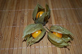 三,打開,酸漿