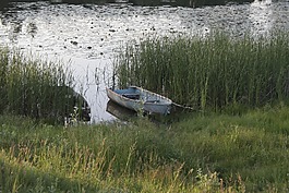 湖,小船,夏季