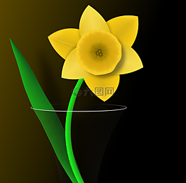 喇叭花,花,春