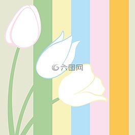 郁金香,花束,春天
