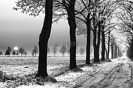 雪,景觀,公園