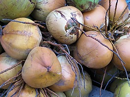 椰子,水果,船體