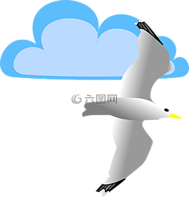 云,海鷗,鳥