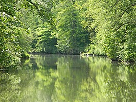 河,性質(zhì),水