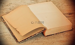 本书,老,古董