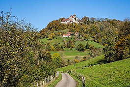 城堡的宠物山,金策尔绍（künzelsau）,石教堂
