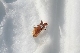 雪,山,天空