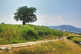 可愛(ài)的,通道,性質(zhì)