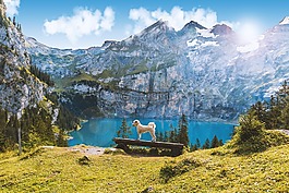 湖 oeschinen,瑞士,山