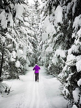 雪,冬天,越野滑雪