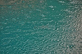 雨,水,滴