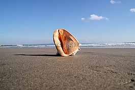 海,查看,海洋