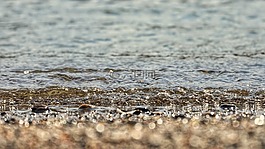 海,海灘,波