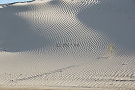 沙,條紋,海灘