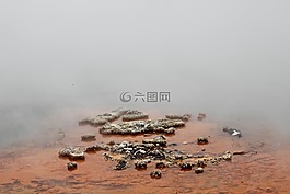 石,水,景觀