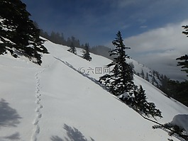 雪,山,冬天