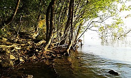 巴拉頓湖,湖,湖濱區(qū)