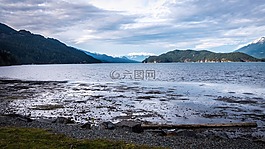 山,雪,樹