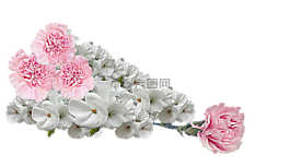 鮮花,花束,裝修