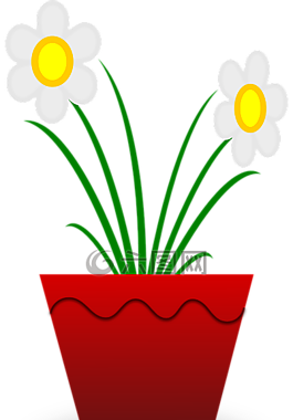花,植物,鍋