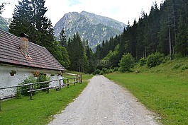 離,線索,徒步旅行