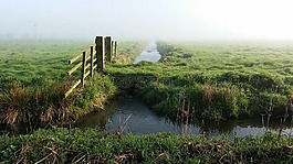 農(nóng)村,英國,原野