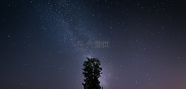 星空,银河,树