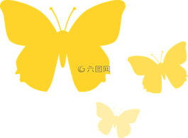 蝴蝶,動物,自然