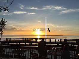 灣,日落,鵜