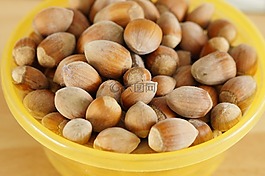 堅果,榛子,許多