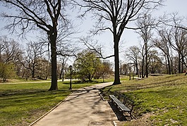 中央公園,紐約,曼哈頓
