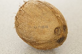 椰子,布朗,堅果