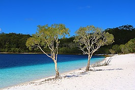 海灘,海,水