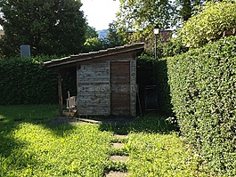 農(nóng)場,綠色,小木屋