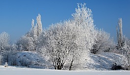 霜,冬天,冷
