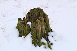 自然,冬天,雪