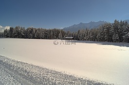 冬天,雪,寒冬