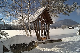 冬天,雪,寒冬