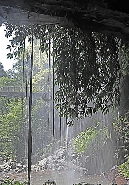 瀑布,樹木,景區(qū)