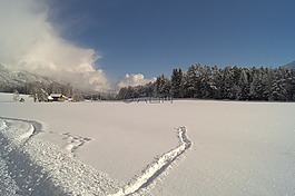 冬天,雪,寒冬