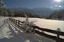 冬天,雪,寒冬