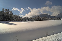 冬天,雪,寒冬