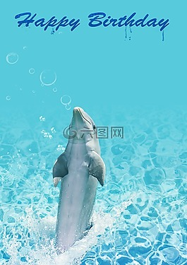 生日,海豚,水