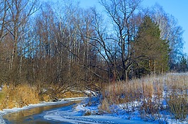 秋季,河,雪
